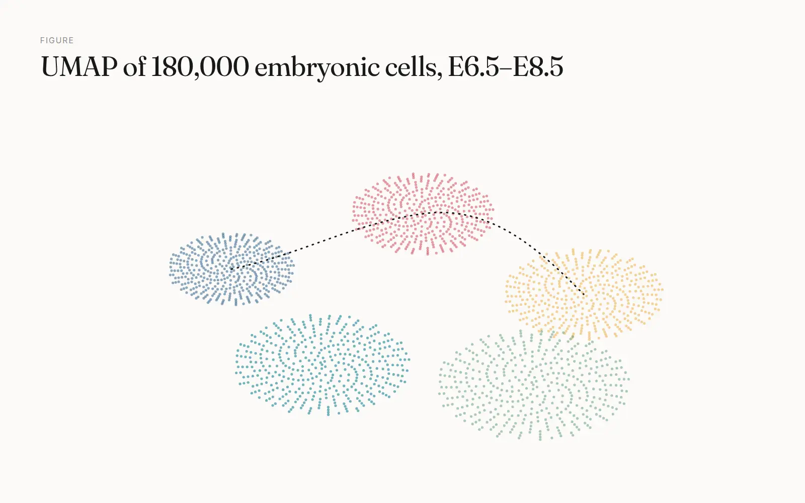 Embryo Atlas